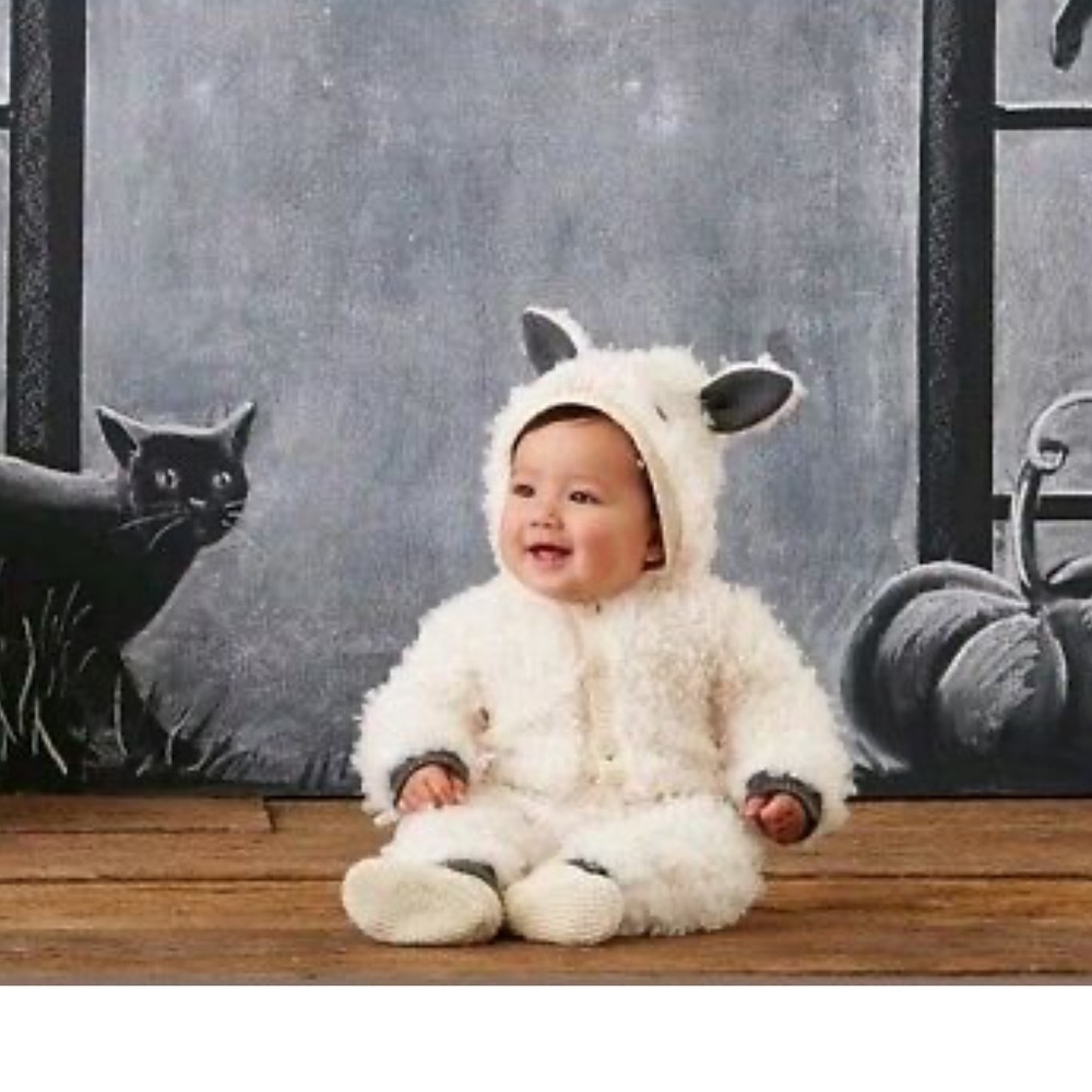 Pottery Barn Baby Lamb costume - size 6-12 months